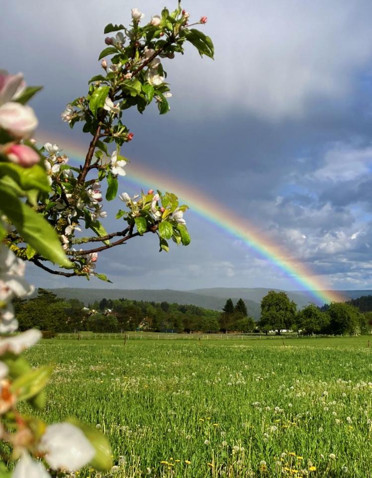 Offener Gesprächskreis über Gott und die Welt