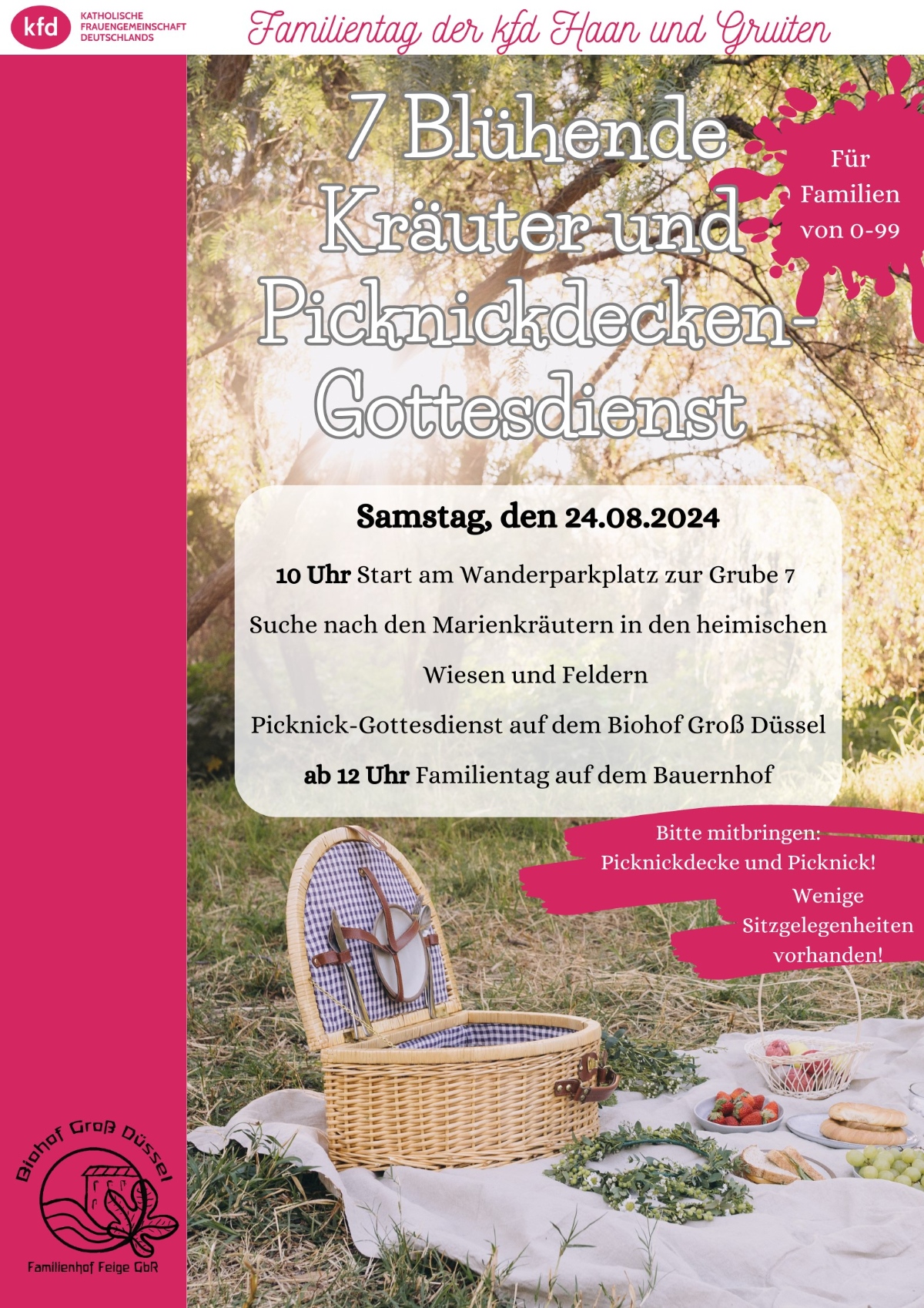 2024_kfd_Marienkräuterpicknick